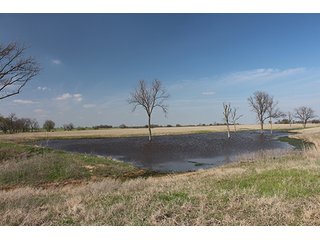 Tract 17 - LAND & MINERAL ACRES OKLAHOMA AUCTION, 588+/- Land & Producing Mineral Acres offered in 24 Tracts in Okmulgee County